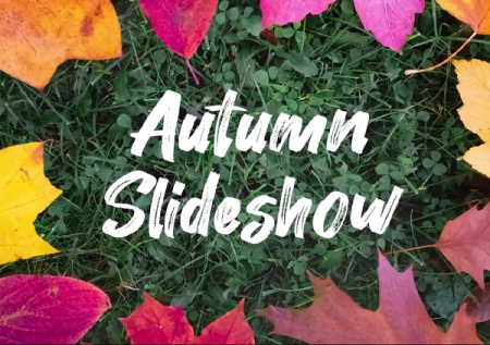 پروژه پریمیر اسلایدشو پاییزی Autumn Cozy Slideshow